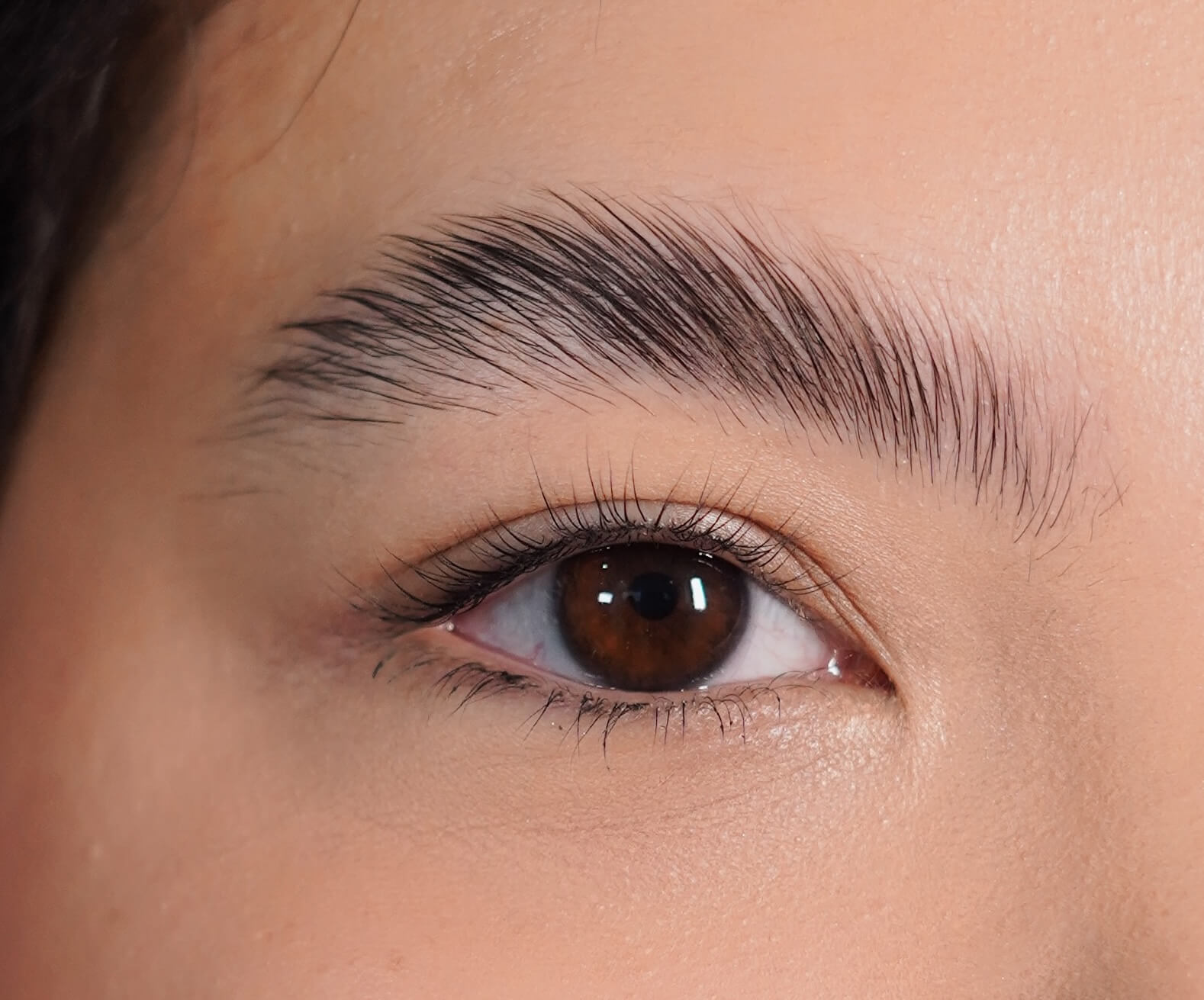 Lash Lift & Brow Lamination