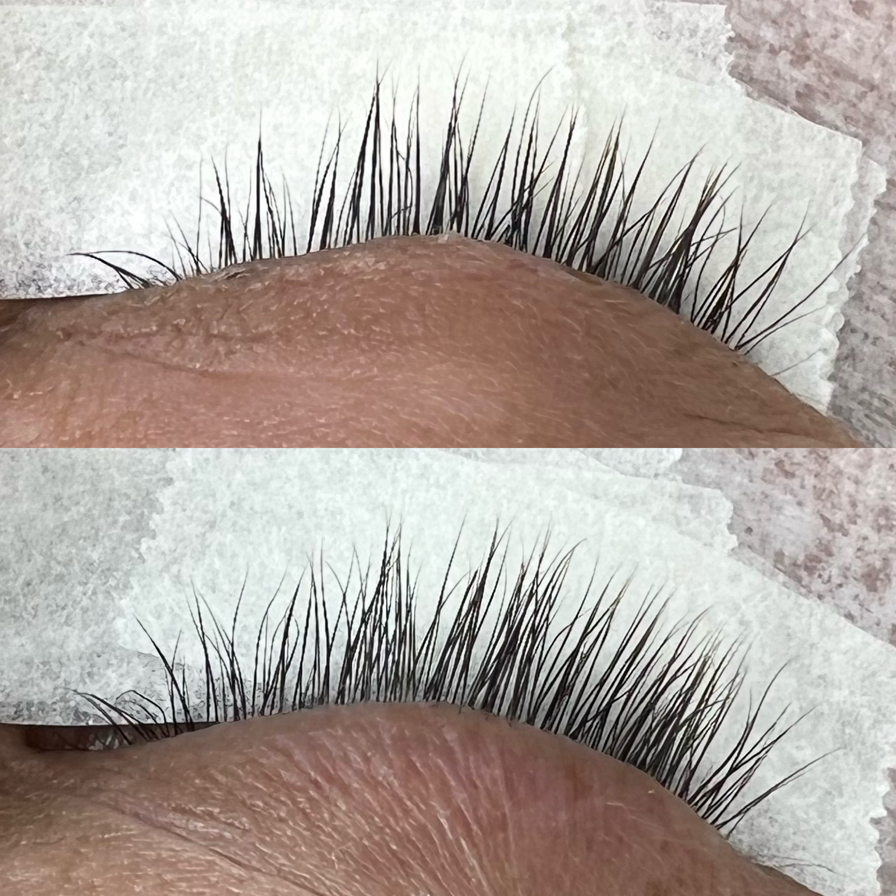 Max Cils